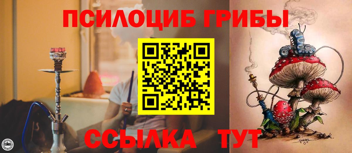 Новоалтайск  Галлюциногенные грибы Psilocybe  Вход с VPN  Галлюциногенные грибы мицелий 